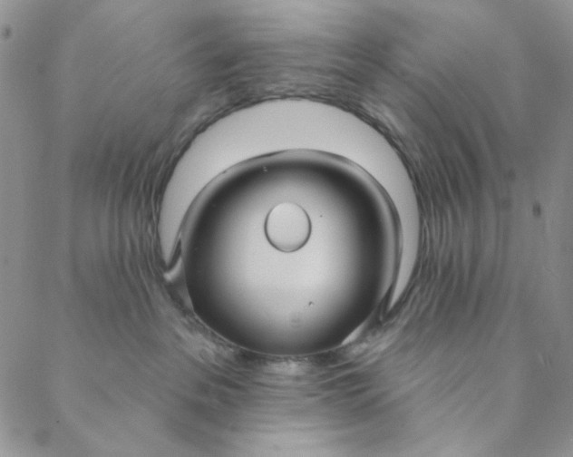 X0000088590237200706081335