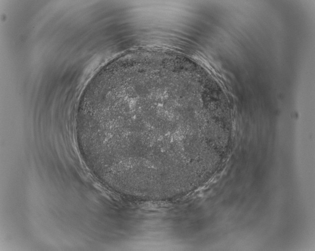 X0000088590241200706081335