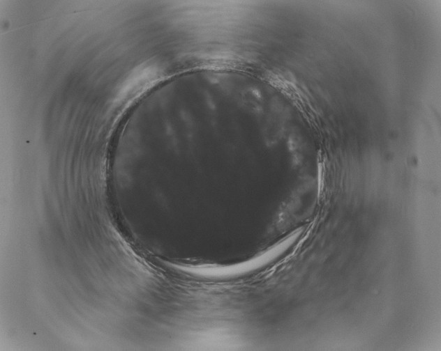 X0000088590243200706081335