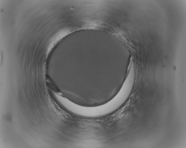 X0000088590244200706081335