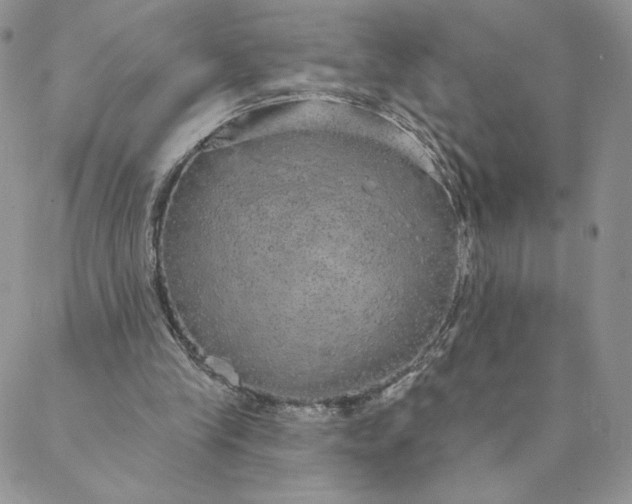 X0000088590245200706081335