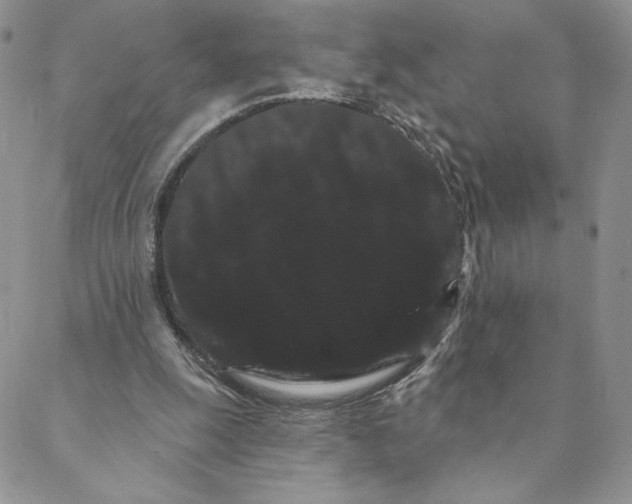 X0000088590247200706081335