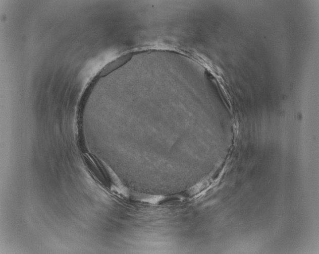 X0000088590248200706081335