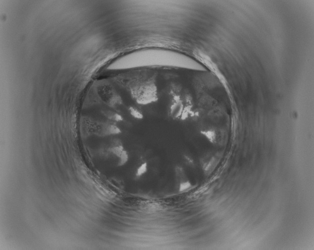 X0000088590249200706081335