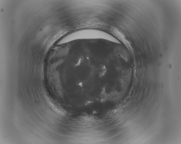 X0000088590250200706081335