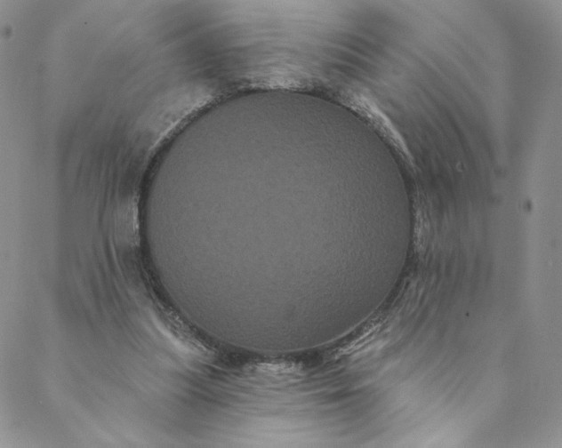 X0000088590251200706081335