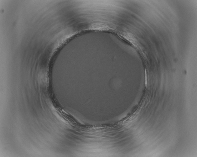 X0000088590252200706081335