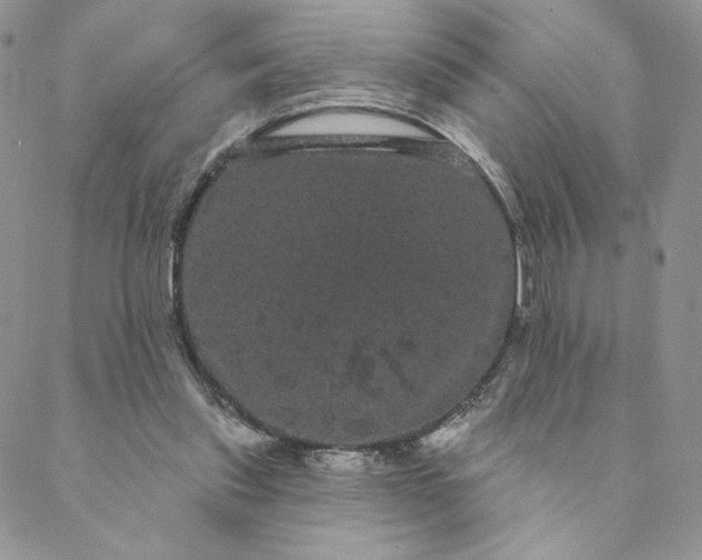 X0000088590253200706081335