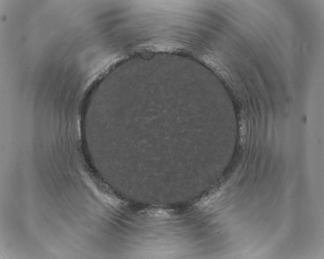 X0000088590254200706081335