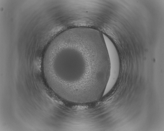 X0000088590255200706081335