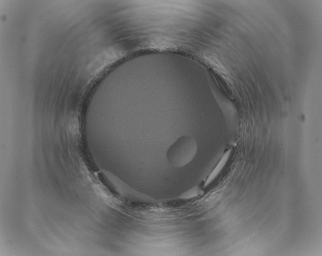 X0000088590256200706081335