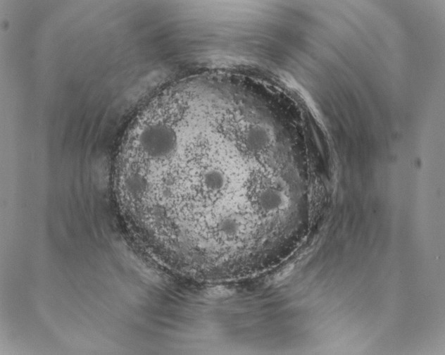 X0000088590257200706081335