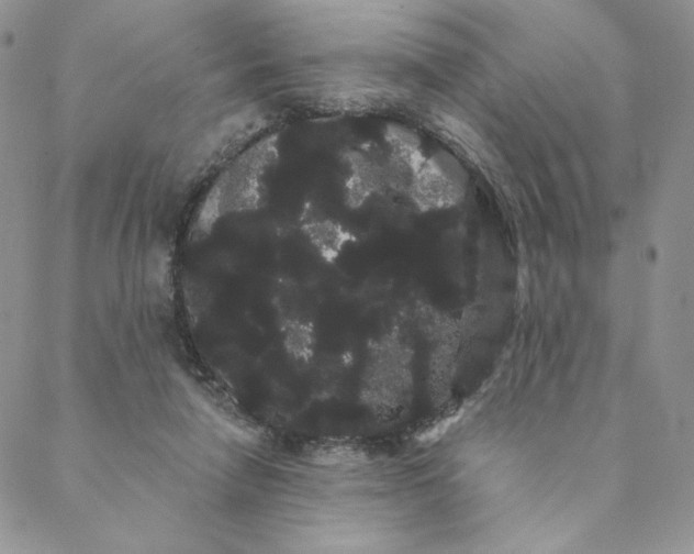 X0000088590258200706081335