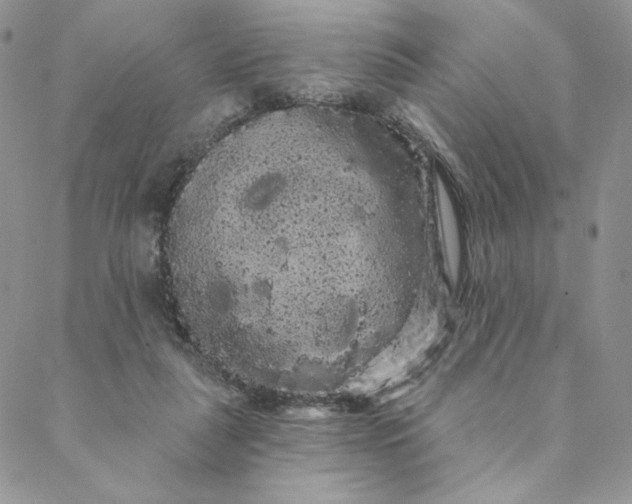 X0000088590259200706081335