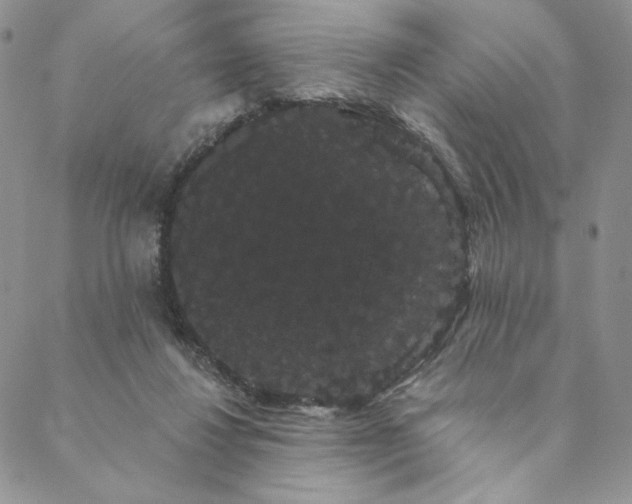 X0000088590260200706081335