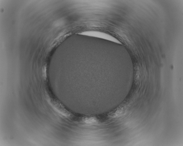 X0000088590262200706081335