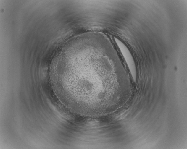 X0000088590263200706081335