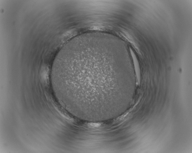 X0000088590265200706081335