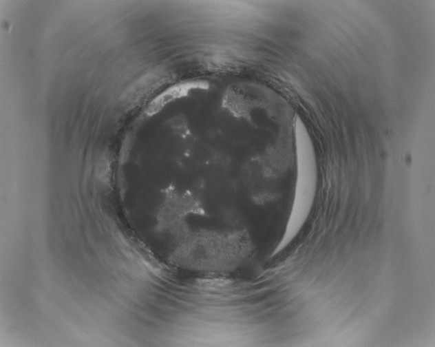 X0000088590266200706081335