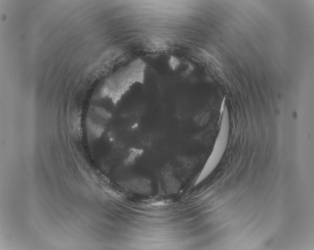 X0000088590267200706081335