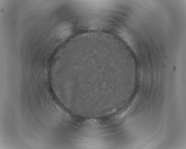 X0000088590269200706081335