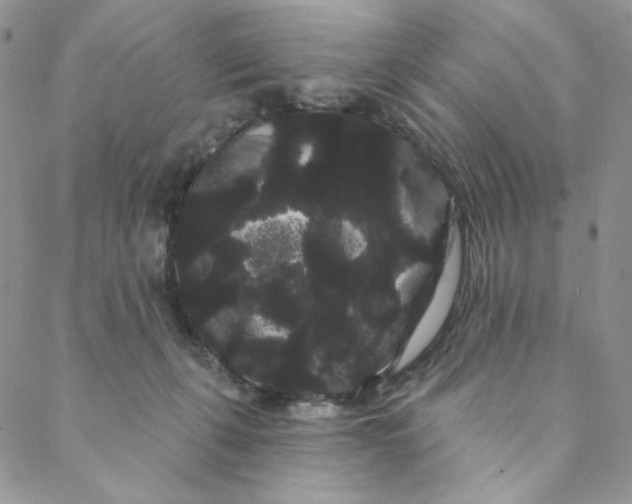 X0000088590271200706081335