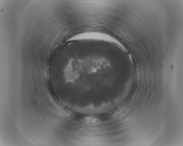 X0000088590272200706081335