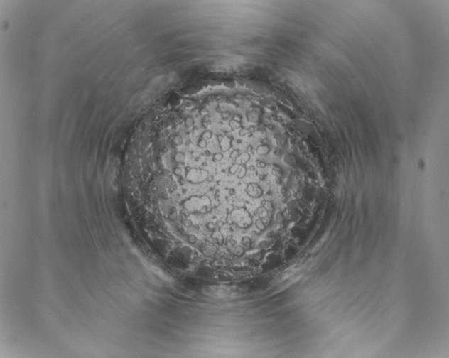 X0000088590273200706081335