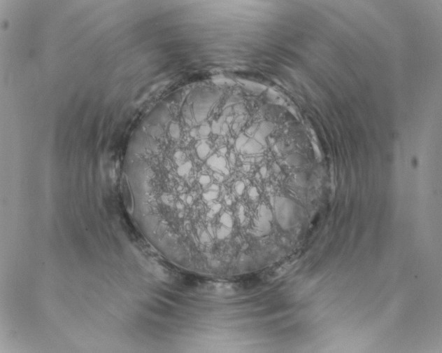 X0000088590276200706081335