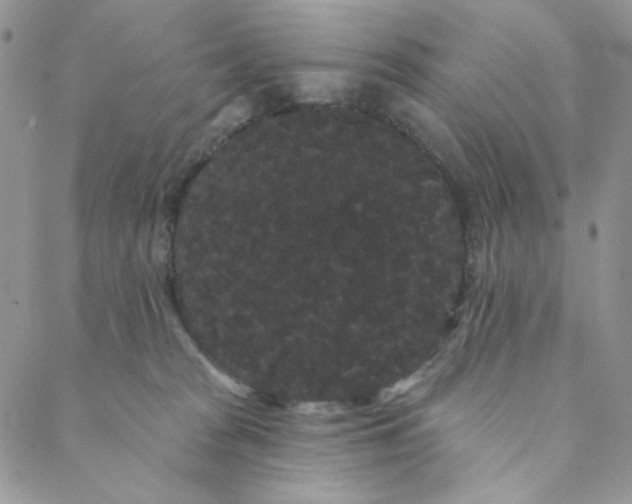 X0000088590277200706081335