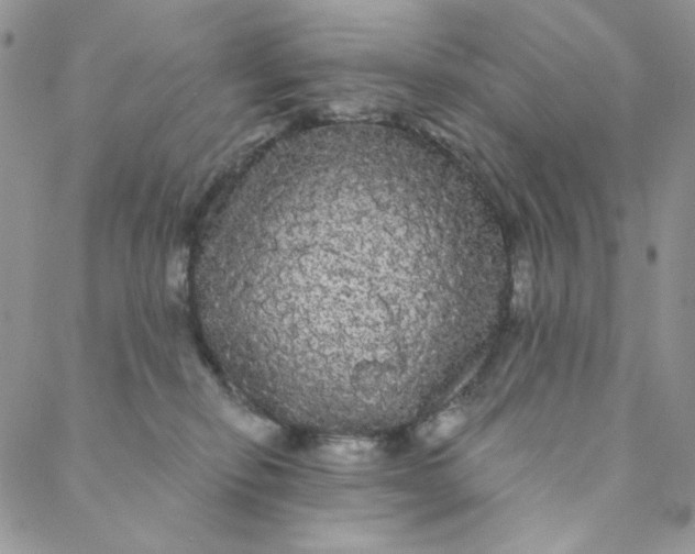 X0000088590278200706081335