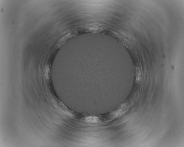 X0000088590279200706081335