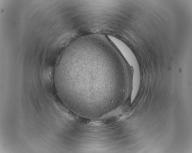 X0000088590280200706081335