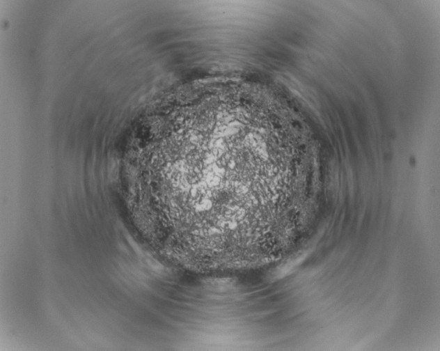 X0000088590281200706081335