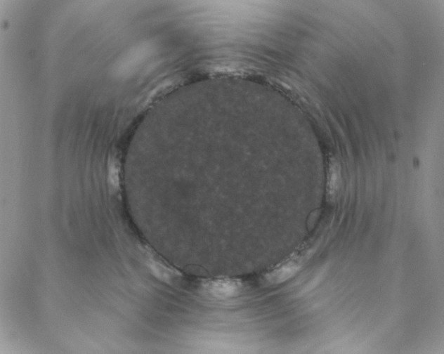 X0000088590282200706081335