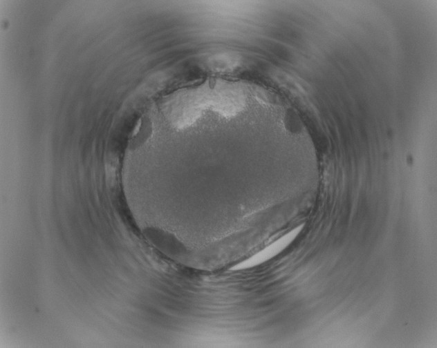 X0000088590283200706081335