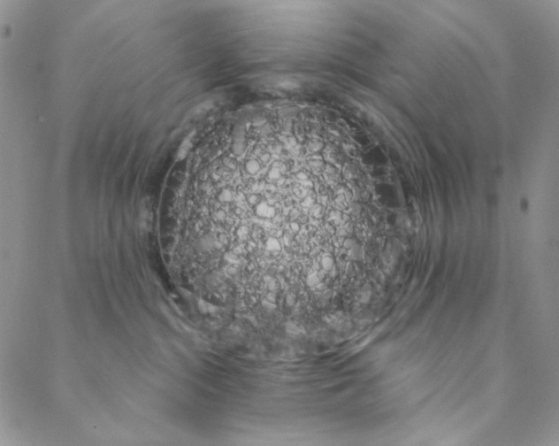 X0000088590284200706081335