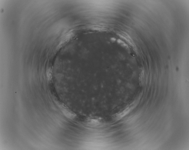 X0000088590285200706081335