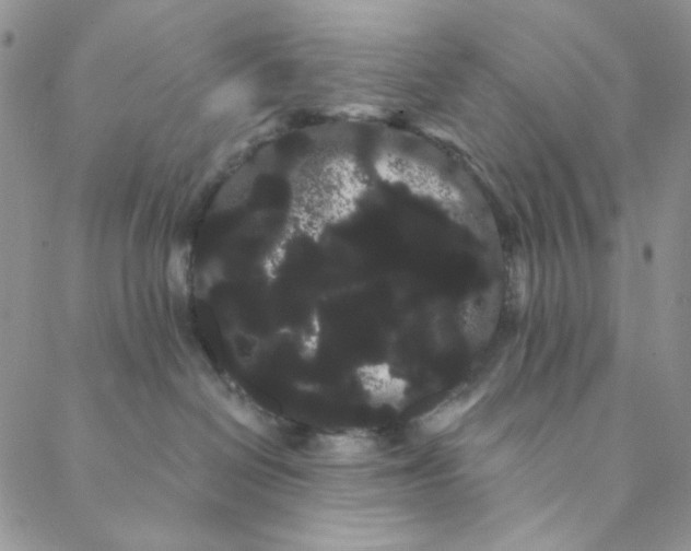 X0000088590286200706081335