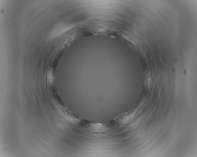 X0000088590287200706081335