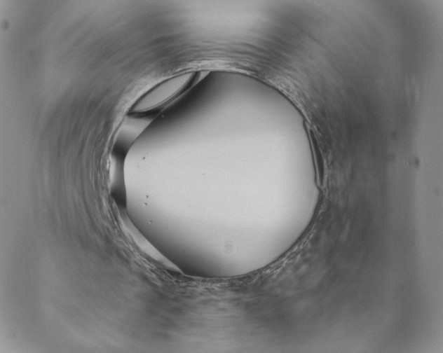 X0000088590289200706081335