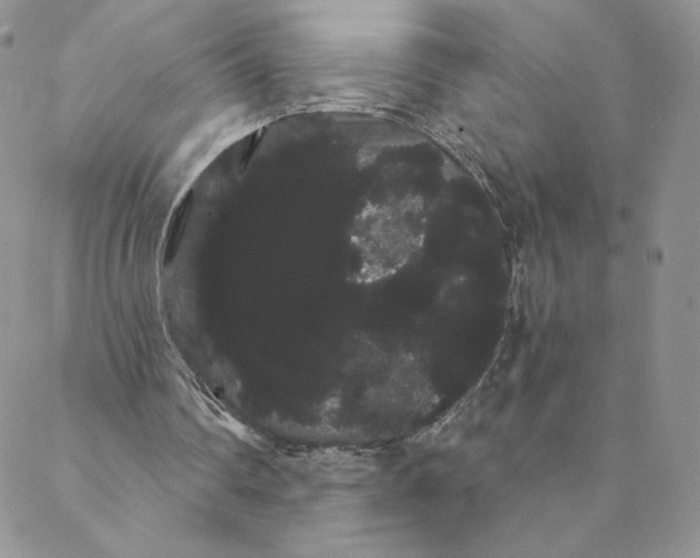 X0000088590290200706081335