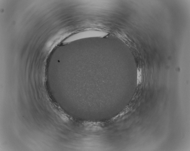 X0000088590291200706081335