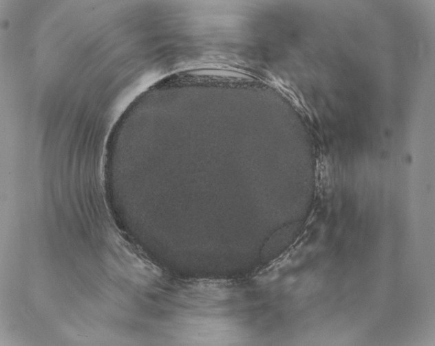 X0000088590292200706081335