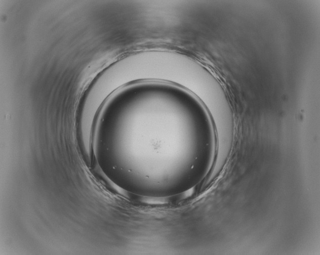 X0000088590293200706081335