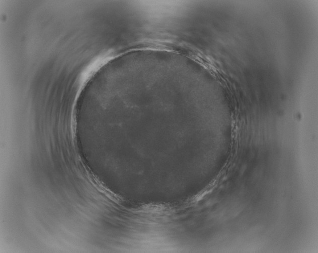 X0000088590294200706081334