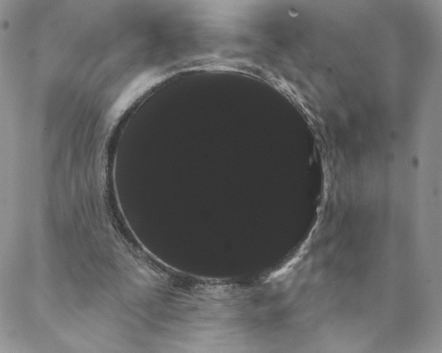 X0000088590295200706081334