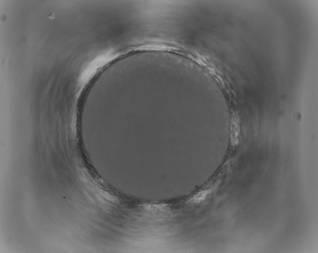 X0000088590296200706081334