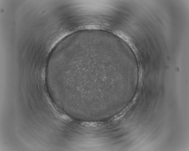 X0000088590297200706081334