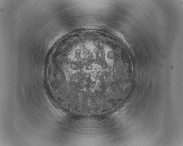 X0000088590299200706081334